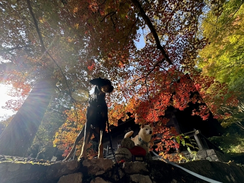 �͂����ꏏ��