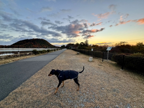 �������芦���Ȃ���