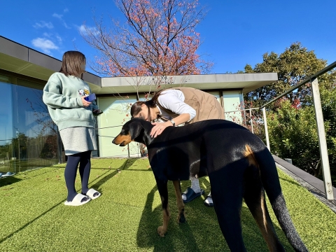 �����̋q�l��