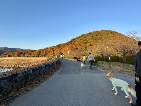 �A�[�x���g���[�g�Ɍ���R