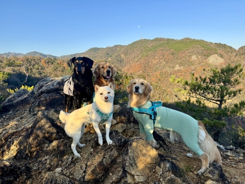 �n�̔w�ŏW���ʐ^