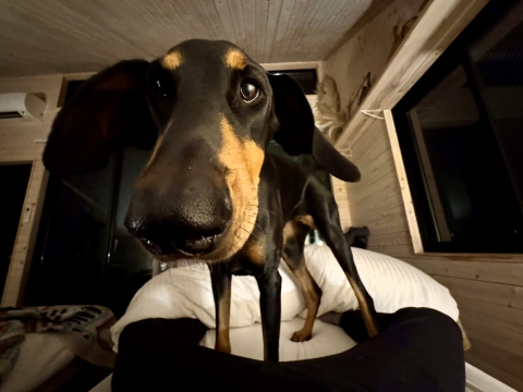 ���낻��s����