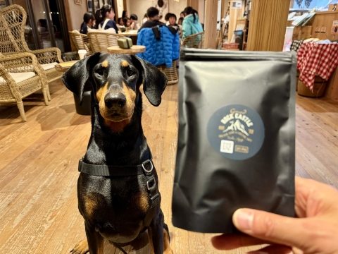 GRC�I���W�i���̘a���z�������W���[�L�[