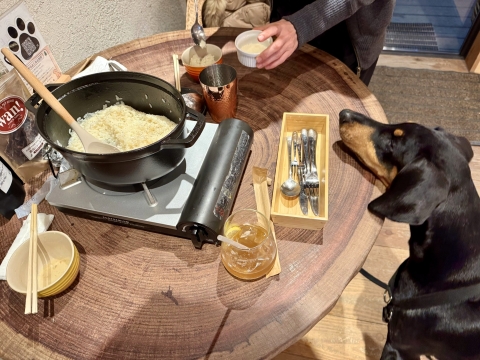 ���߂̃��]�b�g������