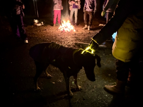 �L�����v�t�@�C���[�ɂ����ז�