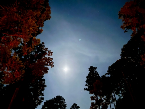 �������邭�P��