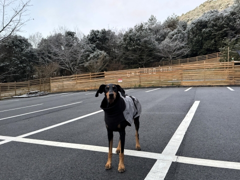 ���X���ቻ��