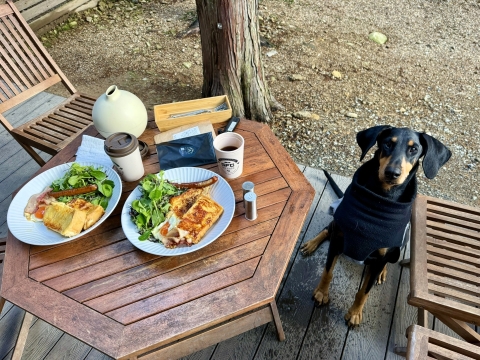 �����H�ׂ悤