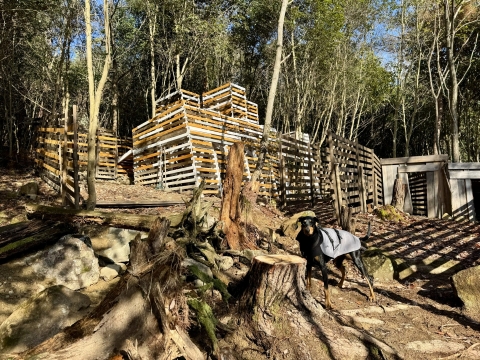 �V�G���A����@