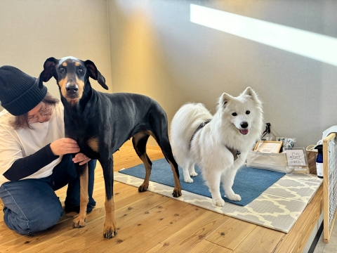 ���̂̑̌��{�p���󂯂�