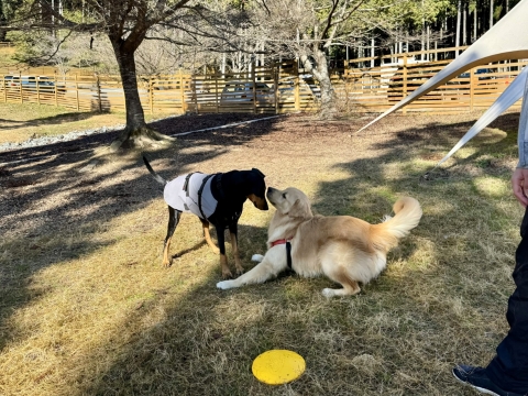 �S���p�s������