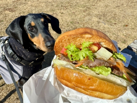 ���c���a���̃��[�X�g�r�[�t�o�[�K�[