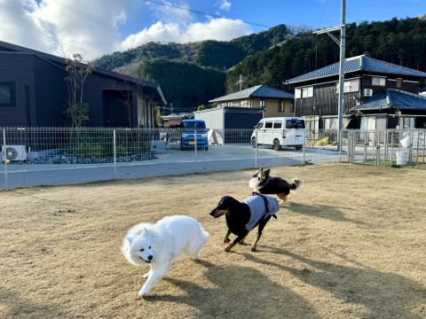 3���ő���