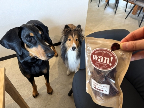 �R�R���̃W���[�L�[�����߂�󐅂ƃu�G�i