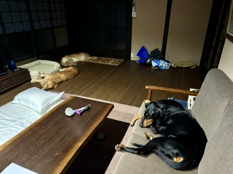 3���Ƃ��d�r�؂�