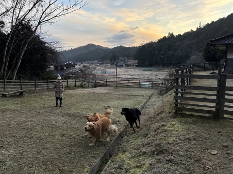 ���邭�Ȃ��Ă����̂ŊO�ňꑖ��