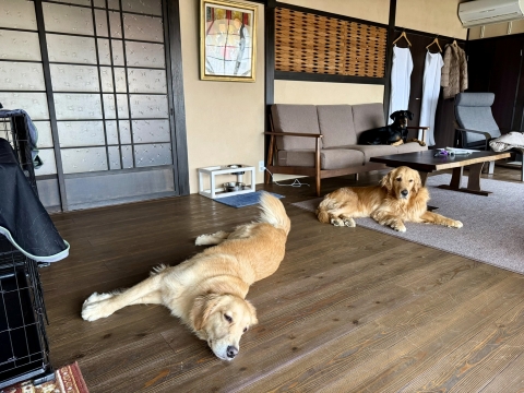 ���낻��A�邩