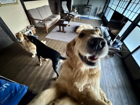 ���ɓ�����