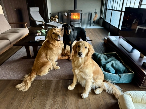 �d�X�g�[���̑O�Ń|�[�Y