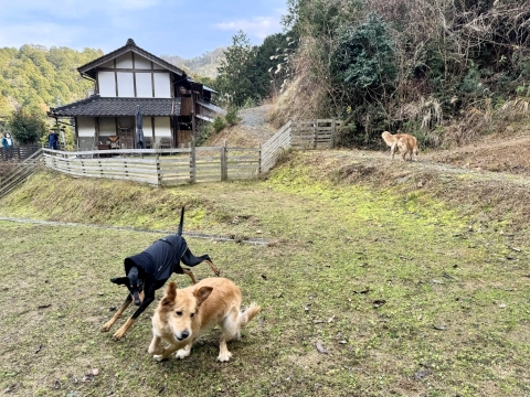 �������X�����Ŗ\���