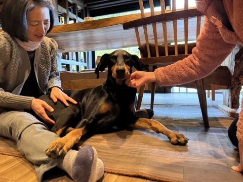 �����ɂ��킢�����Ă��炤