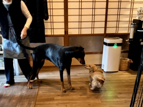 ���[�N�ƒ��̈��A