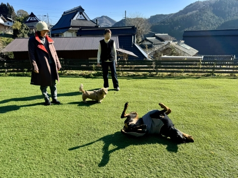 �󐅂��������Ɠ]����