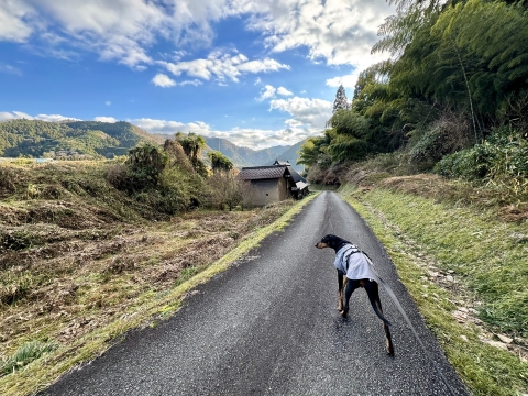 ��ɂ��s���Ă݂�