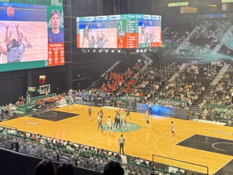 ティップオフ ティップオフ