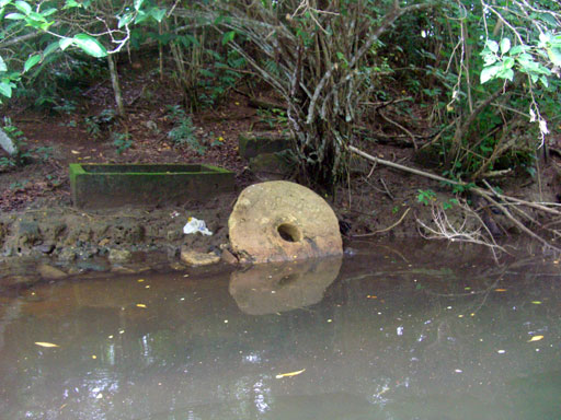 マングローヴの水路の脇にも石貨