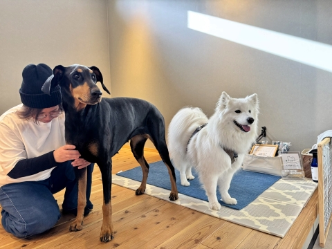 aLuke�̐��̂��󂯂Ă݂�