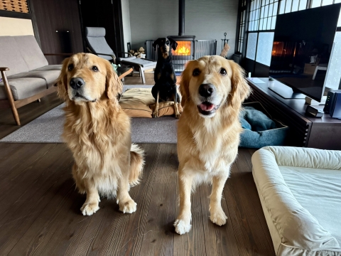 �i��&�e�B�i�ƃx�l�|���e�B�A