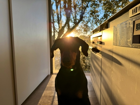 ���̏ォ�珉���̏o