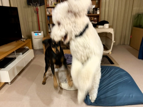 �W���[������