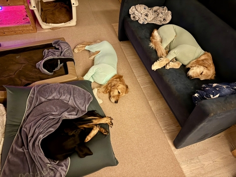 �i��&�e�B�i�������܂�