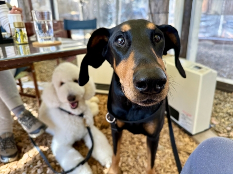 �W���[�ƐX�̔_