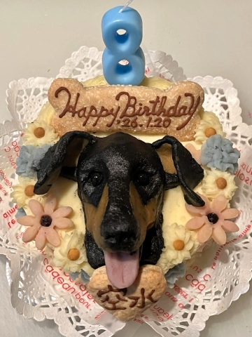 ���N�����|�I�ȃ��A���e�B�[