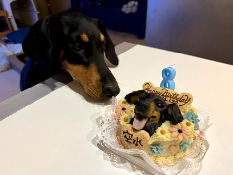 �u��������v