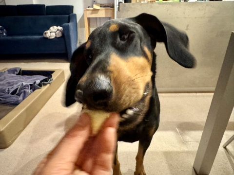 �e�͂Ȃ���