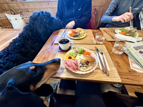 ���낷���ƃE�T�M�x�[�O��