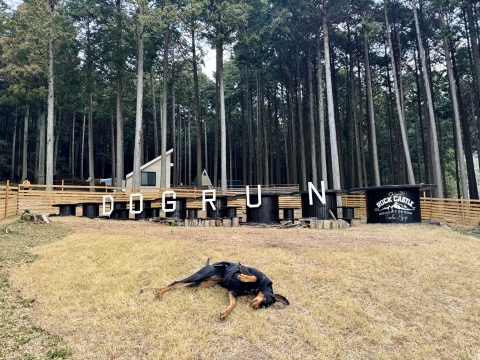 ���N����GRC