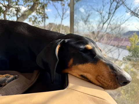 �����ڂ������Ȃ��狏����