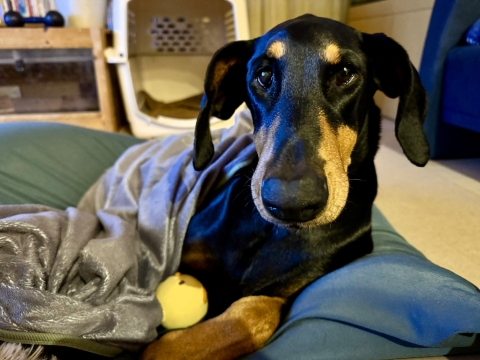 �q��Ċ��n�܂�