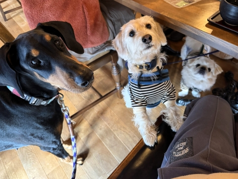 �C&���ƒO�g�ꔑ��