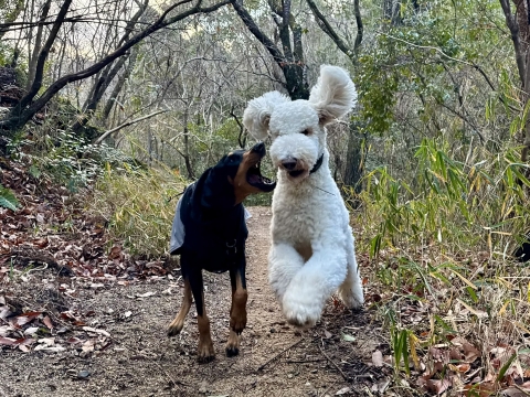 ���݂�����