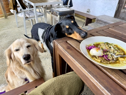 Nu cafe�Ńx�j�[��