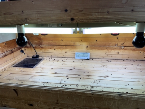 久しぶりに姿を現した土台 パネルヒーターもちゃんと動作していた 久しぶりに姿を現した土台 パネルヒーターもちゃんと動作していた