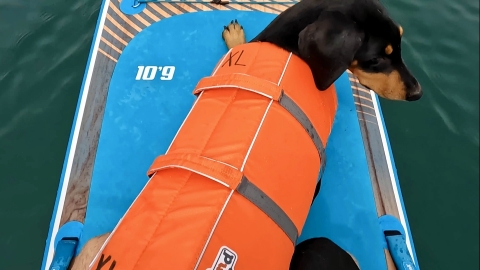 GoPro؂o
