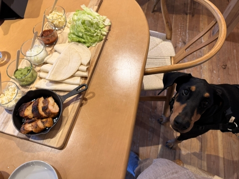 まずはペリペリチキントルティーヤから まずはペリペリチキントルティーヤから