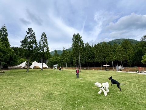 ターフではしゃぐ ターフではしゃぐ